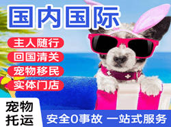 启阳航空物流国际宠物托运 【国